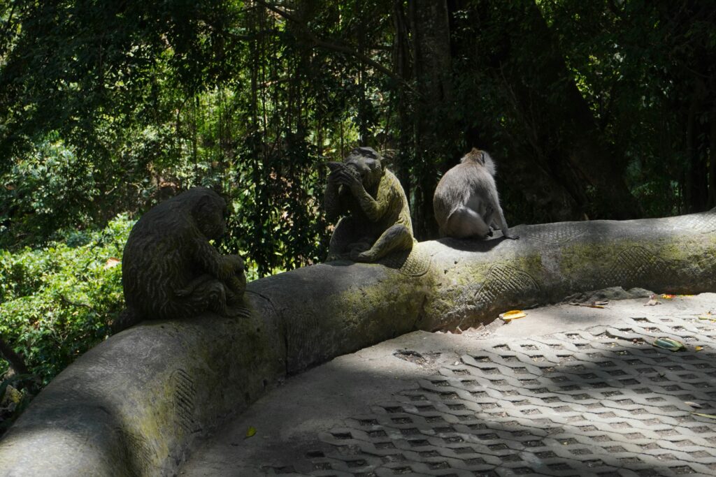 Monkey Forest Ubud